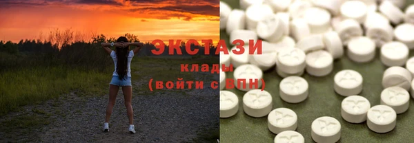 прущие грибы Заводоуковск