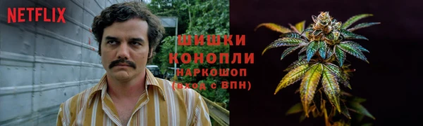 прущие грибы Заводоуковск