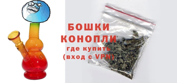 прущие грибы Заводоуковск