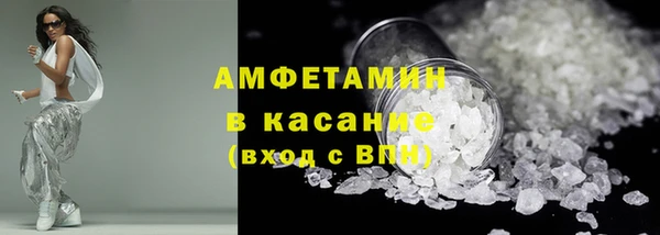 прущие грибы Заводоуковск