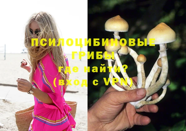 прущие грибы Заводоуковск
