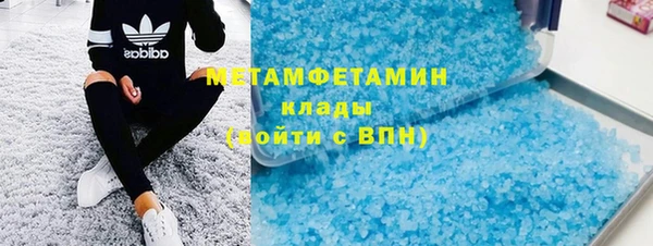 прущие грибы Заводоуковск