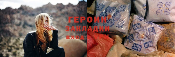 прущие грибы Заводоуковск