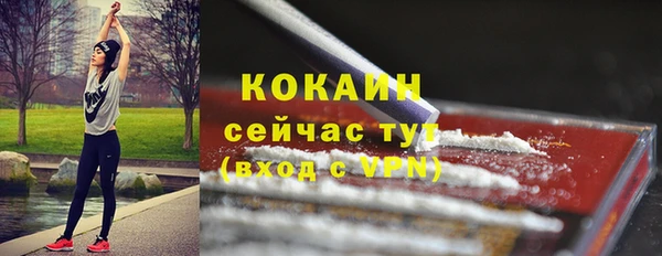 дмт Елизово