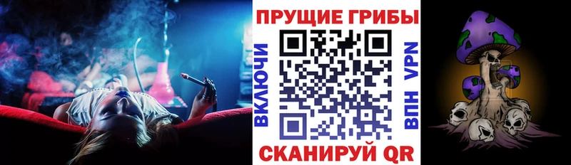 Купить  Луховицы  Галлюциногенные грибы прущие грибы 